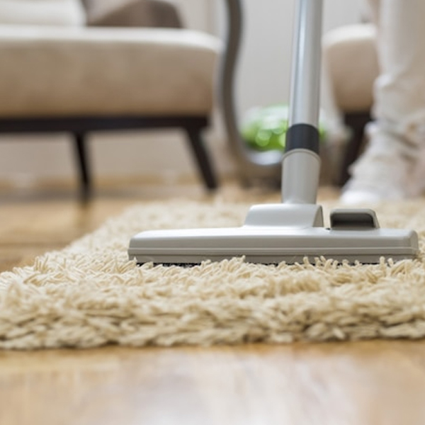 Carpet Cleaner Annerley