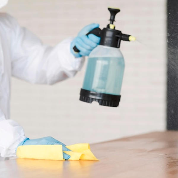 Pest Treatment Coorparoo